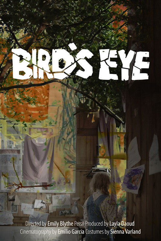 Bird's Eye