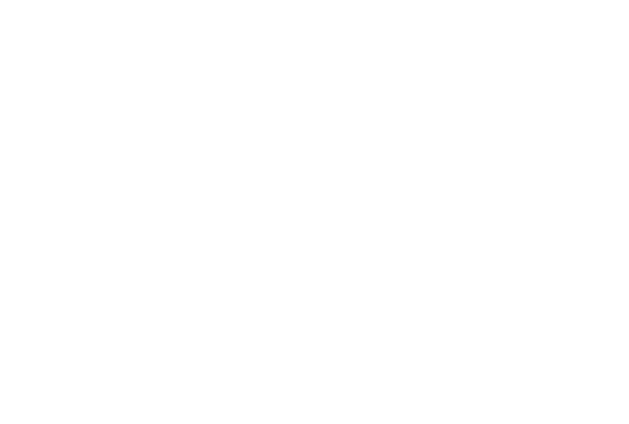 BSFFF Finalist